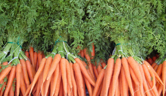 Морковная ботва польза и вред для организма