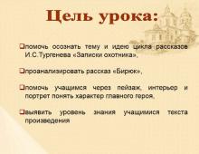 The image and characteristics of Biryuk, the main character of Turgenev's story Biryuk, essay